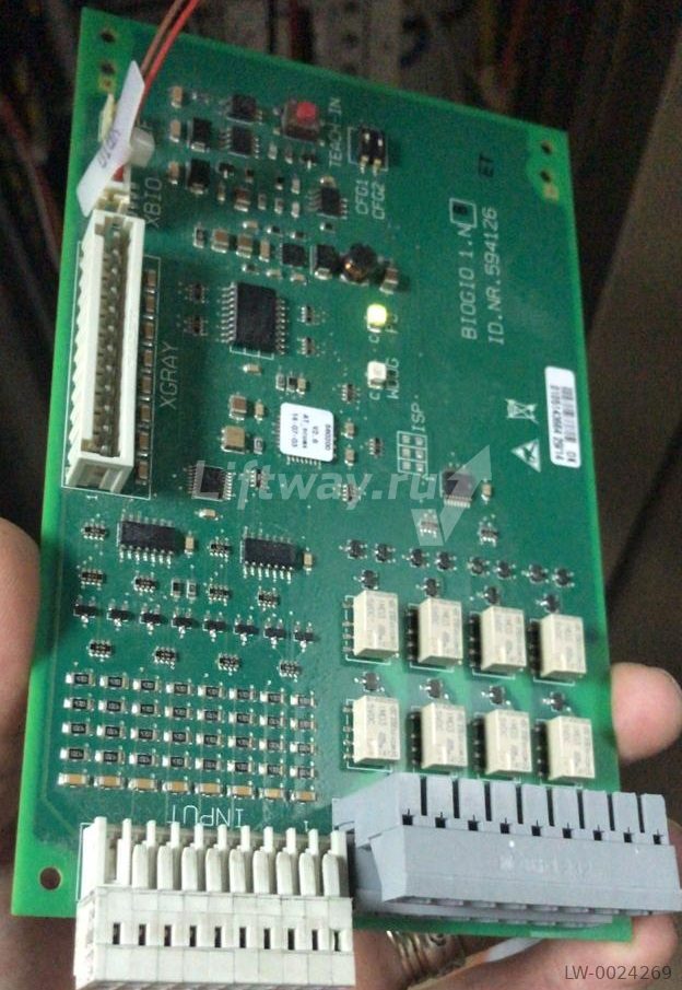 Плата BIOGIO 1.N