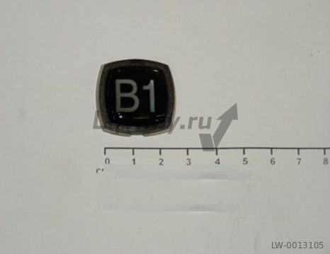 Нажимной элемент кнопки черный Kone с линзой символ "B1" тип SIGT10