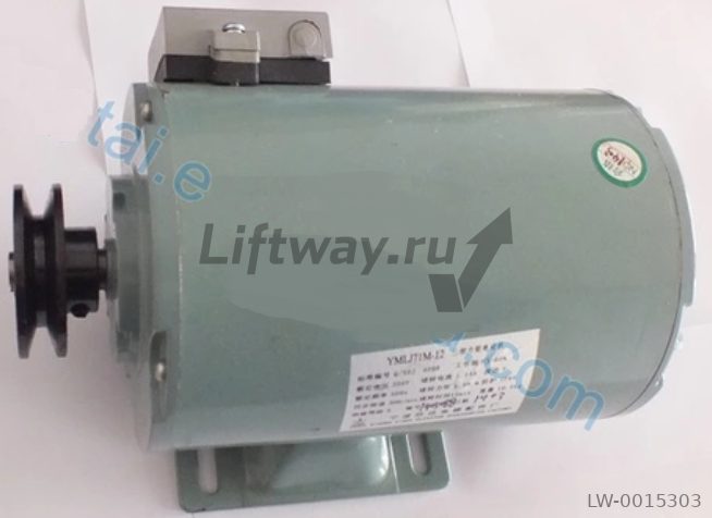 Мотор привода дверей YMLJ71M-12 220Vac, 500RPM