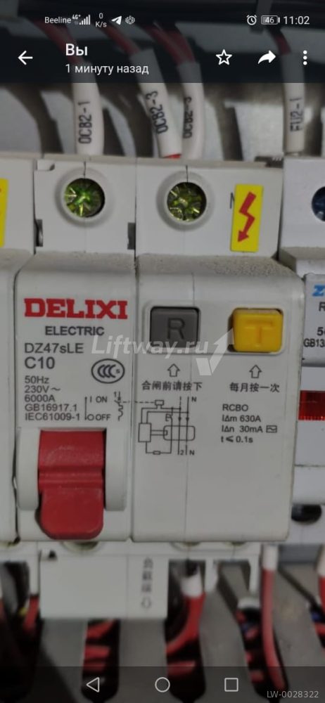Выключатель автоматический DZ47sLE C10 1P