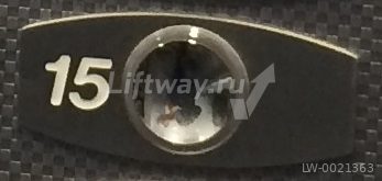 Чиклет без брайля "15" антивандальная панель, шлифов, белая цифра