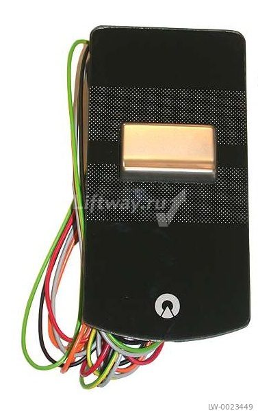 Вызывная панель L80-1B Smart с логотипом