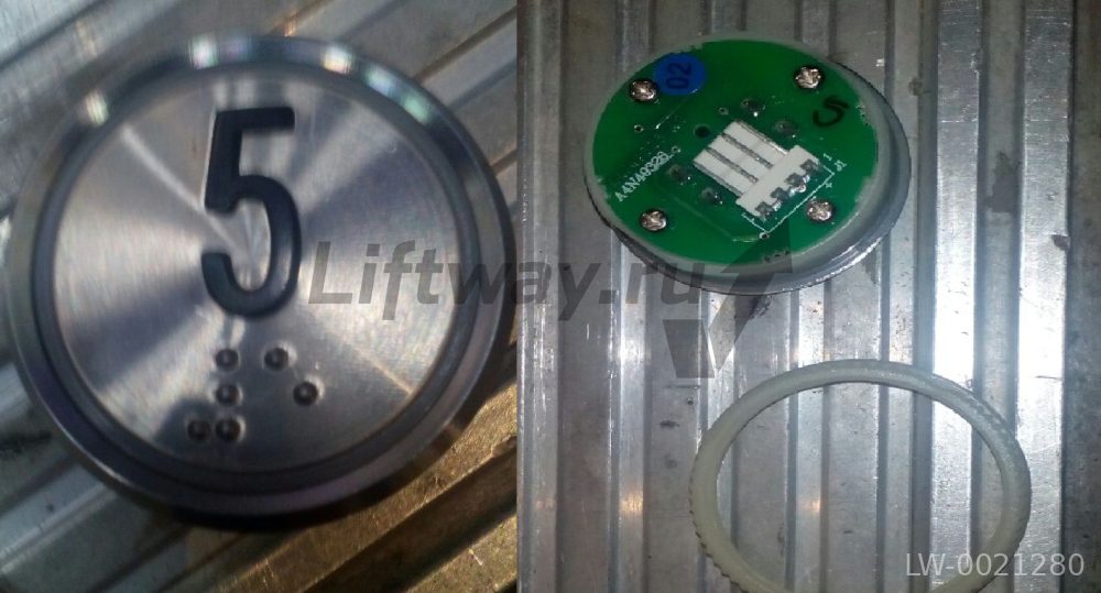 Кнпока приказа "5" с браилем голубая подсветка