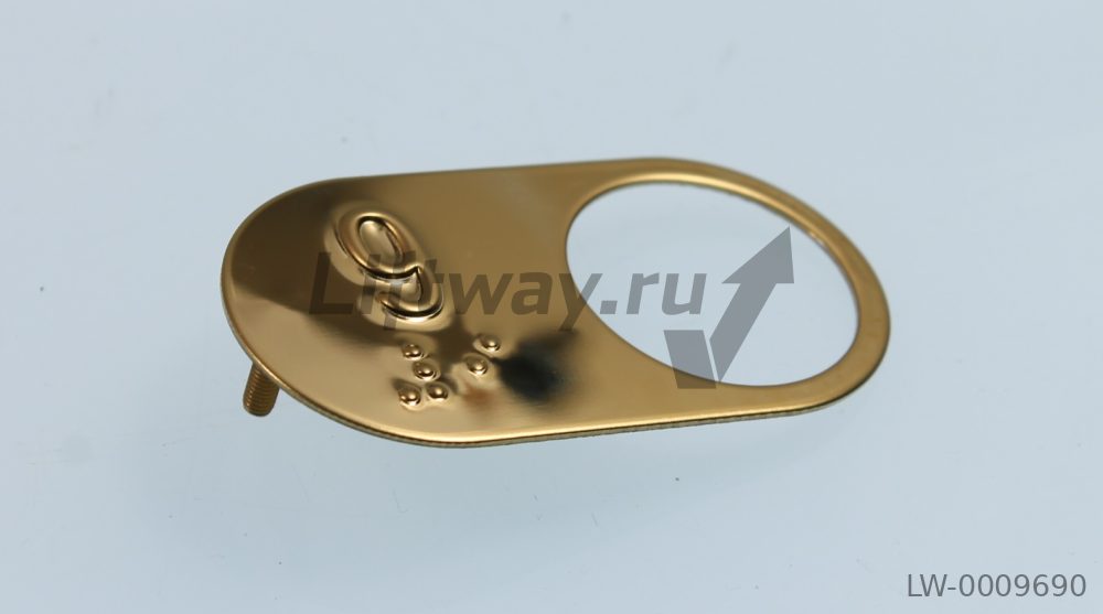 Чиклет полированный овальный латунь "9" для XIZI OTIS с Брайлем с винтом